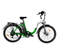 Elbike Galant Big VIP 13 (Зеленый)