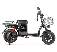 Gelbert Condor 2