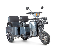 Gelbert Tuban 48V/60V 600Вт (серый)