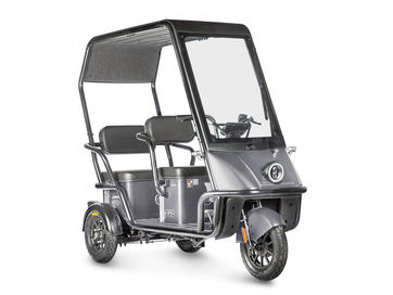 Электротрицикл Wanshida NIPLA 500 60V 1000Вт (серый)